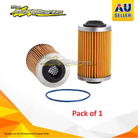 RYCO Oil Filter For HOLDEN STATESMAN WL,WM 3.6 litre LY7 (H7)/LLT V6 24V DOHC